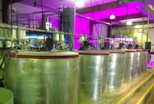 Processing of chicken manure using custom-made aerobic bioreactor.PNG